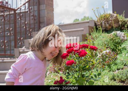 Kleines Mädchen pflegt Rosen im Garten. Selektiver Fokus Stockfoto