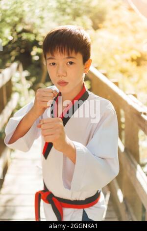 Porträt eines jungen japanischen Karate-Spielers in Angriff- oder Verteidigungsposition, gekleidet in seinen offiziellen Tae kwon do Kimono. Starke, geballte Fäuste für den Kampf Stockfoto