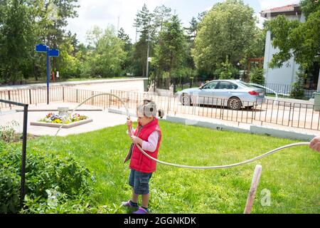 Kleines Mädchen wässert Tomaten und Pfeffer Sämlinge in ihrem Garten mit einem Gartenschlauch. Selektiver Fokus. Stockfoto