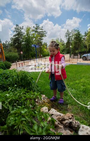 Kleines Mädchen wässert Tomaten und Pfeffer Sämlinge in ihrem Garten mit einem Gartenschlauch. Selektiver Fokus. Stockfoto