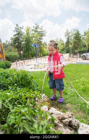 Kleines Mädchen wässert Tomaten und Pfeffer Sämlinge in ihrem Garten mit einem Gartenschlauch. Selektiver Fokus. Stockfoto