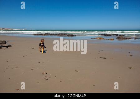 Deutscher Schäferhund am Strand von Port Nolloth, Westkap. Stockfoto