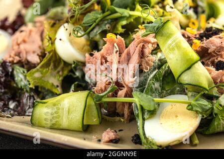 Nahaufnahme von frischem Thunfischsalat mit Gemüse und Eiern Stockfoto