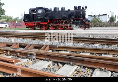 02. September 2021, Mecklenburg-Vorpommern, Bad Doberan: Eine Lokomotive der Molli-Schmalspurbahn umstellt den Bahnhof. Die Mecklenburger Bäderbahn Molli MBB erhält eine Förderentscheidung über 662,000 Euro für die Erneuerung von Schienen, Punkten und Signaltechnik. Das bedeutet, dass der Staat 75 Prozent der Kosten für das Projekt übernimmt. Foto: Bernd Wüstneck/dpa-Zentralbild/dpa Stockfoto