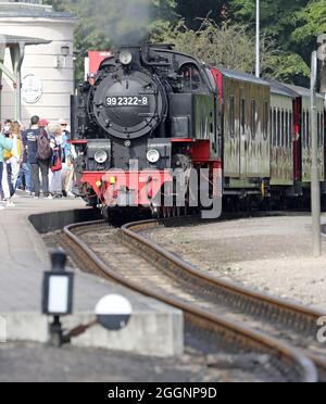 02. September 2021, Mecklenburg-Vorpommern, Bad Doberan: Ein Zug der Molli-Miniaturbahn fährt in den Bahnhof ein. Die Mecklenburger Bäderbahn Molli MBB erhält eine Förderentscheidung über 662,000 Euro für die Erneuerung von Schienen, Punkten und Signaltechnik. Das bedeutet, dass der Staat 75 Prozent der Kosten für das Projekt übernimmt. Foto: Bernd Wüstneck/dpa-Zentralbild/dpa Stockfoto