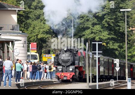 02. September 2021, Mecklenburg-Vorpommern, Bad Doberan: Ein Zug der Molli-Miniaturbahn fährt in den Bahnhof ein. Die Mecklenburger Bäderbahn Molli MBB erhält eine Förderentscheidung über 662,000 Euro für die Erneuerung von Schienen, Punkten und Signaltechnik. Das bedeutet, dass der Staat 75 Prozent der Kosten für das Projekt übernimmt. Foto: Bernd Wüstneck/dpa-Zentralbild/dpa Stockfoto