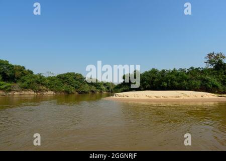 Flusslandschaft Cuiabá, Pantanal-Wald , Mato grosso, Brasilien Stockfoto