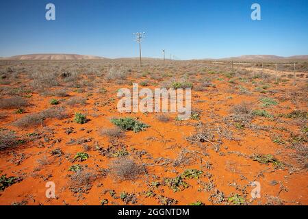 Fiery Terrain: Der reiche orangene Boden des Richtersveld Stockfoto
