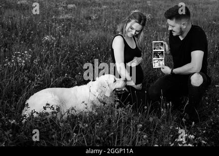 Am Sommerabend auf dem Spaziergang zeigt das zwischen Gräsern sitzende Schwangerschaftspaar ihren Labrador-Ultraschall des ungeborenen Kindes.Schwarz-Weiß-Foto. Schwangerschaftsmana Stockfoto