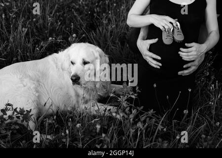 Schwarz-Weiß-Foto von Labrador liegt im Gras und seine Besitzer, schwanger Paar mit Kinderschuhen . . Warten auf Kind. Ergänzung zur Familie Stockfoto