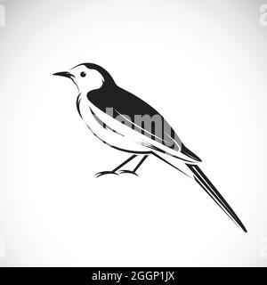 Vektor von Elster-Design auf weißem Hintergrund. Vogelsymbol. Leicht editierbare Vektorgrafik mit Ebenen. Wilde Tiere. Stock Vektor