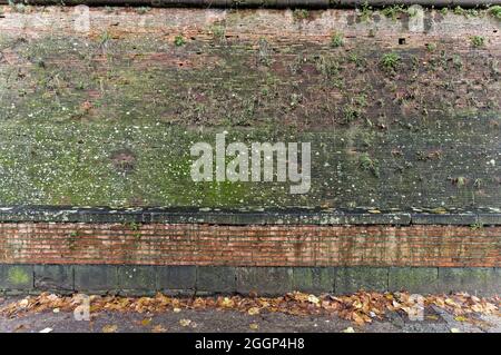 Nahaufnahme einer dreckigen, grunge alten, rostigen, moosigen Wand auf der Straße Stockfoto