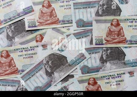 ÄGYPTEN, Pfund-Banknoten, Bild Sphinx von Gizeh / Ägypten, ägyptische Pound Banknoten, Bild große Sphinx von Gizeh Stockfoto