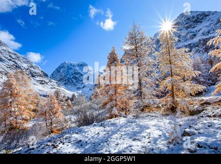 Mt. Collon - 3637 m, Arolatal, Wallis Schweiz Stockfoto