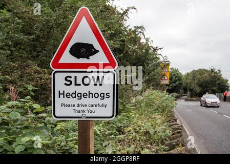 Neue Verkehrsschilder in Großbritannien, LANGSAM für Igel Stockfoto