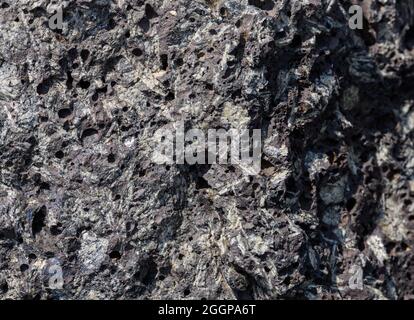 Porphyrisches, igneoses Gestein mit großen Feldspatkristallen. Oregon, USA. Stockfoto