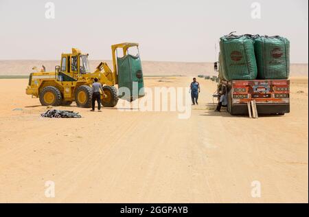 ÄGYPTEN, Farafra, Kartoffelanbau in der Wüste, Ernte bei United Farms, Verladung von Big Bags mit Potatos auf LKWs, die großen Felder werden von Pivot-Kreis-Bewässerungssystemen bewässert, das fossile Grundwasser aus dem nubischen Sandsteinaquifer wird aus 1000 Meter tiefen Brunnen gepumpt / AEGYPTEN, Farafra, United Farms, Kartoffelanbau in der Wüste, Laden nach der Ernte auf KW, die kreisrunden Felder werden mit Pivot Kreisbefallungsanlagen mit fossilem Grundwasser des Nubischen Sandstein-Aquifer aus 1000 Meter tiefen Brunnen bewährt Stockfoto