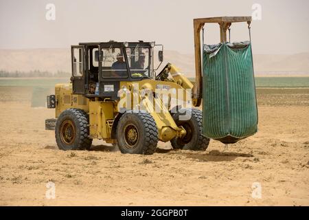 ÄGYPTEN, Farafra, Kartoffelanbau in der Wüste, Ernte bei United Farms, Verladung von Big Bags mit Potatos auf LKWs, die großen Felder werden von Pivot-Kreis-Bewässerungssystemen bewässert, das fossile Grundwasser aus dem nubischen Sandsteinaquifer wird aus 1000 Meter tiefen Brunnen gepumpt / AEGYPTEN, Farafra, United Farms, Kartoffelanbau in der Wüste, Laden nach der Ernte auf KW, die kreisrunden Felder werden mit Pivot Kreisbefallungsanlagen mit fossilem Grundwasser des Nubischen Sandstein-Aquifer aus 1000 Meter tiefen Brunnen bewährt Stockfoto