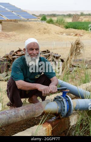 ÄGYPTEN, Oasis El-Wahat el-Bahariya, Wüstenanbau mit Grundwasserbewässerung mit solarbetriebener Pumpe, Farm of small scale Farmer / AEGYPTEN, Oase Bahariyya, Solar betriebene Pumpe zur Bewässerung eines Feldes eines Kleinbauers mit Grundwasser Stockfoto