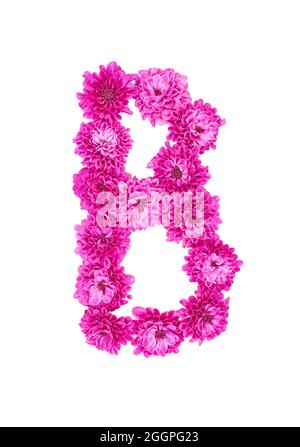 Buchstaben aus Blüten, Figuren aus rosa Chrysanthemum, isoliert auf weißem Hintergrund. Stockfoto