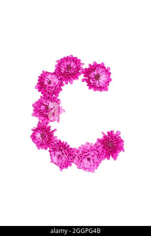 Buchstaben aus Blüten, Figuren aus rosa Chrysanthemum, isoliert auf weißem Hintergrund. Stockfoto