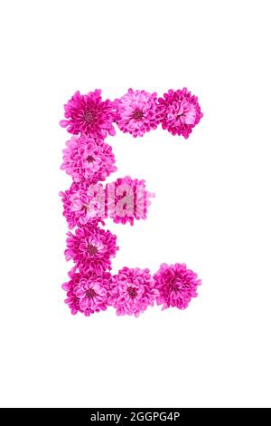 Buchstaben aus Blüten, Figuren aus rosa Chrysanthemum, isoliert auf weißem Hintergrund. Stockfoto