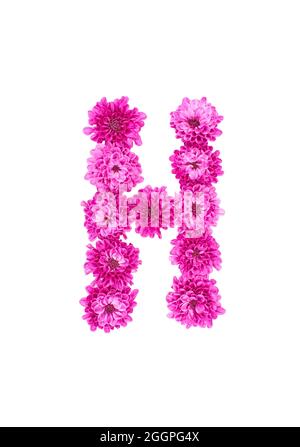 Buchstaben aus Blüten, Figuren aus rosa Chrysanthemum, isoliert auf weißem Hintergrund. Stockfoto