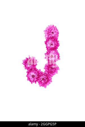 Buchstaben aus Blüten, Figuren aus rosa Chrysanthemum, isoliert auf weißem Hintergrund. Stockfoto