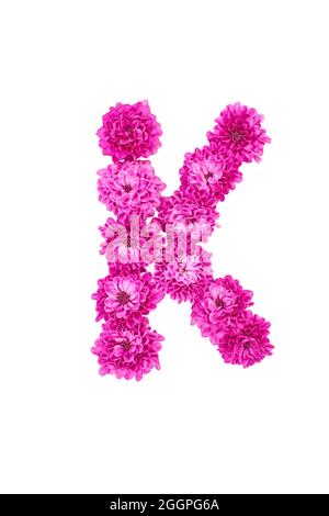 Buchstaben aus Blüten, Figuren aus rosa Chrysanthemum, isoliert auf weißem Hintergrund. Stockfoto