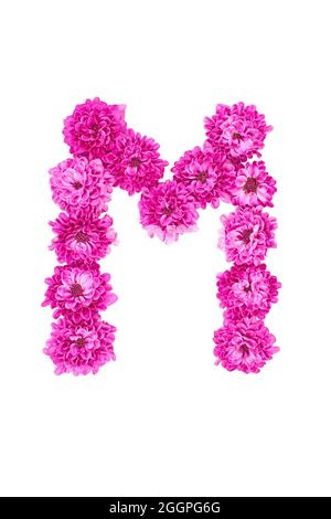 Buchstaben aus Blüten, Figuren aus rosa Chrysanthemum, isoliert auf weißem Hintergrund. Stockfoto