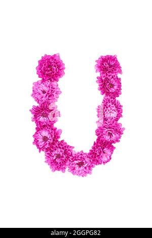 Buchstaben aus Blüten, Figuren aus rosa Chrysanthemum, isoliert auf weißem Hintergrund. Stockfoto