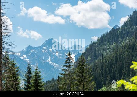 Eine Wanderung auf Morskie Oko Stockfoto