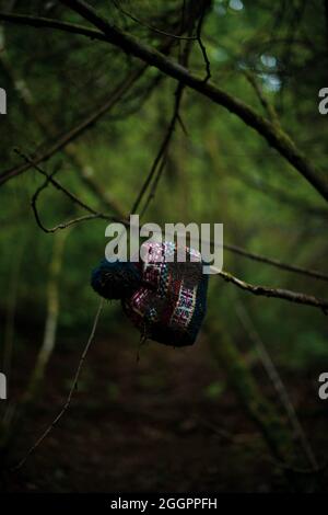 Soudley Ponds, Sommer 2021. Stockfoto