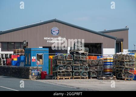 Newlyn, Cornwall, England, Großbritannien. 2021. Newlyn Harbour Fischmarkt der größte Fischereihafen in England, Großbritannien. Stockfoto