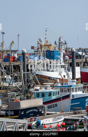 Angelhafen Newlyn, Penzance Cornwall, England, Großbritannien. 2021, Fischereiflotte in Newlyn Harbour Blick auf große und kleine Fischerboote und Vergnügungsboote. Stockfoto