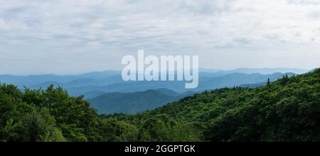 Farbpanorama der Appalachian Mountains von einer hohen Aussicht mit Kiefern und Blick vom Mount Mitchell Stockfoto