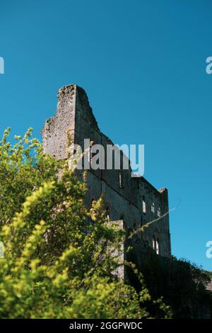 Chepstow Castle, Wales, April 2021. Stockfoto