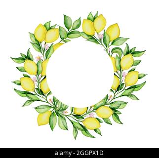 Handgezeichneter, runder Blumenrahmen in Aquarell-Farbe mit Zitronen und grünen Blättern auf weißem Hintergrund Stockfoto