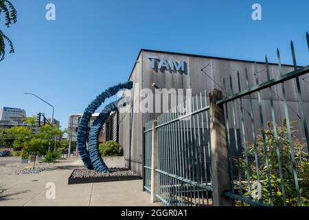 Tacoma, WA USA - ca. August 2021: Straßenansicht des Tacoma Art Museums an einem sonnigen, wolkenlosen Tag. Stockfoto