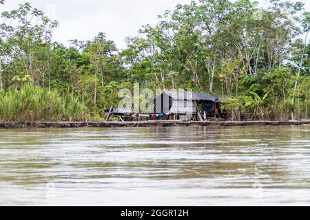 Dorfhaus am Fluss Napo in Peru Stockfoto