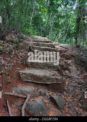 Stufen aus Steinen im Dschungel. Wanderweg für Touristen. Stockfoto