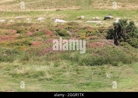 Die Great Orme Stockfoto