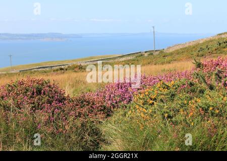 Die Great Orme Stockfoto