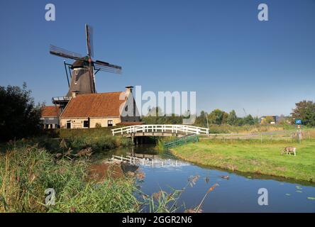 Windmühle De Rat in der friesischen Stadt IJlst Stockfoto