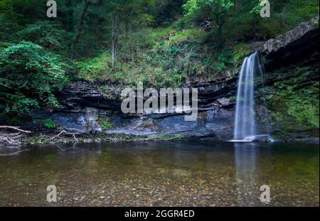 Wasserfall Sgwd Gwladus am Fluss Afon Pyrddin in der Nähe von Pontneddfechan, Südwales, UK bekannt als Waterfall Country Stockfoto