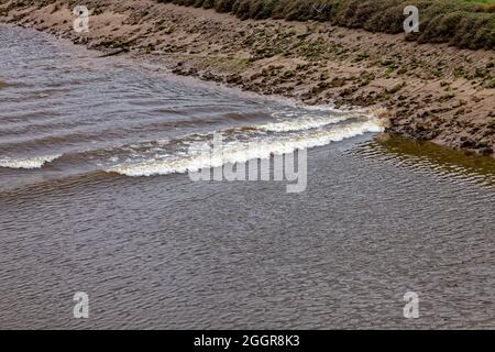 Brechende Wellen an den Kanalseiten der tne Dee Tidal Bore im New Cut Kanal zwischen Queensferry und Saltney Ferry Stockfoto