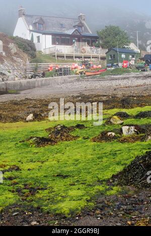 Ein Blick über einen nebligen Strand in Tarbet, Schottland, zum Restaurant mit dem Strand im Untergrund mit Algen am Strand mit Kanu und Boys Stockfoto