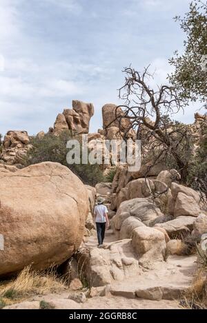 Ein Kind wandert auf dem Hidden Valley Nature Trail im Joshua Tree National Park zwischen den Felsblöcken. Stockfoto