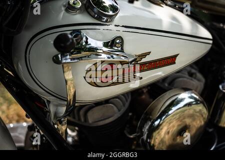 DIEDERSDORF, DEUTSCHLAND - 21. AUGUST 2021: Das Emblem auf dem Kraftstofftank der Motorrad Harley Davidson. Die Ausstellung von 'US Car Classics'. Stockfoto