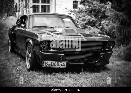 Das Pony-Auto Shelby Cobra GT500, (High-Performance-Version von Ford Mustang). Fokus auf Zentrum. Wirbeliges Bokeh. Die Ausstellung „US Car Classics“ Stockfoto